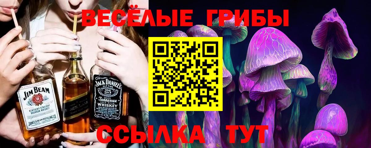 Галлюциногенные грибы MAGIC MUSHROOMS Людиново